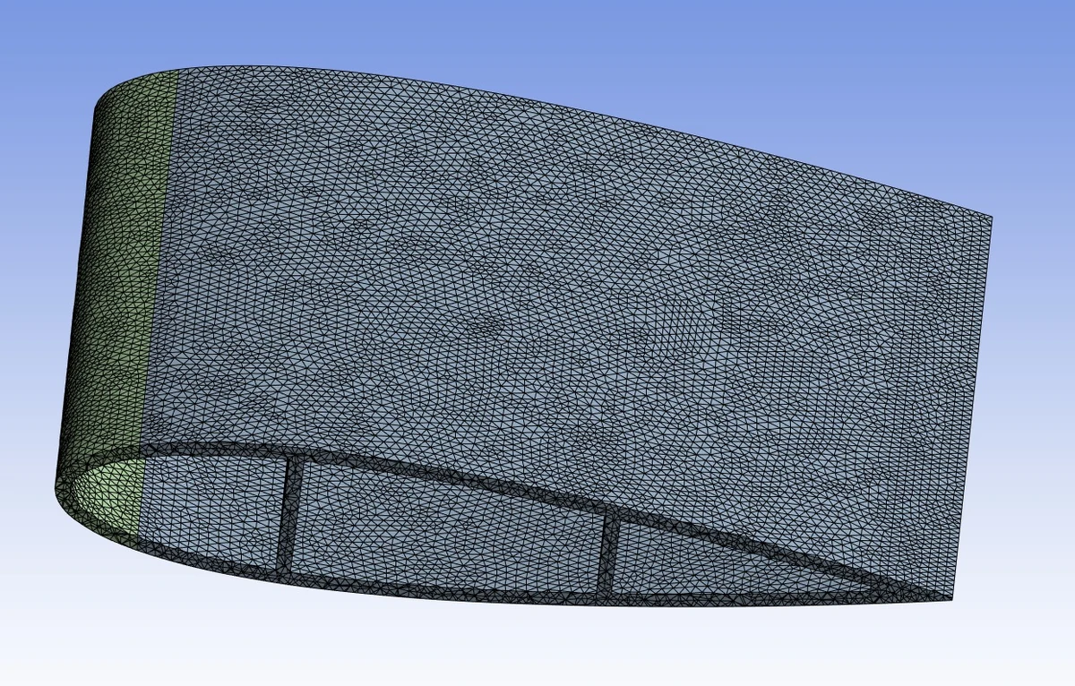 Three-dimensional wing mesh showing the surface discretisation and internal ribs.
